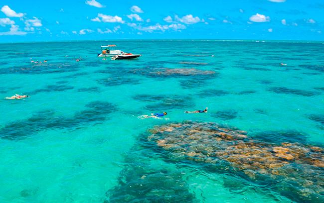 Passeio Maracajaú + Catamarã